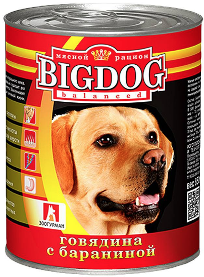 BIG DOG ()       /   ()