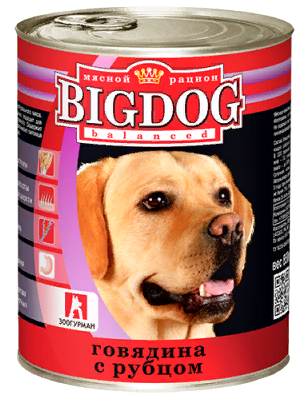 BIG DOG ()       /   ()