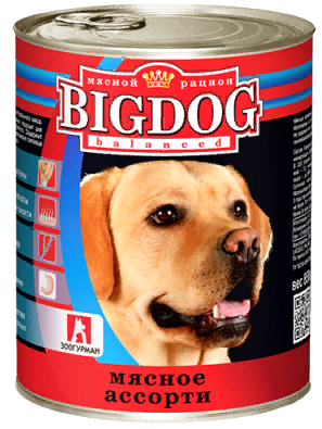 BIG DOG ()        ()