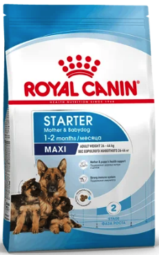 ROYAL CANIN Maxi Starter / Mother and Babydog      (  2- )   /   