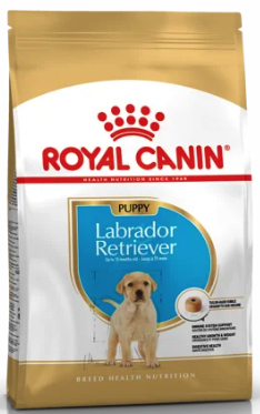 ROYAL CANIN Labrador Retriever 33 Junior    -