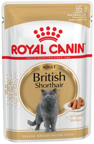 ROYAL CANIN British ShortHair        ()