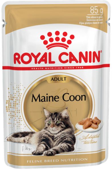 ROYAL CANIN Main Coon        () 