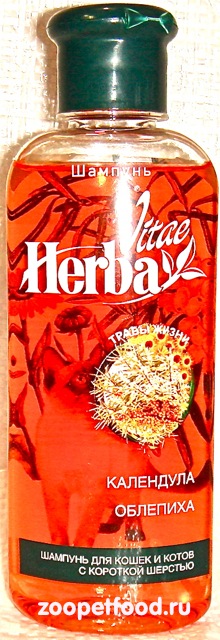 HERBA VITAE        / 