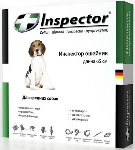 INSPECTOR Collar Dog            