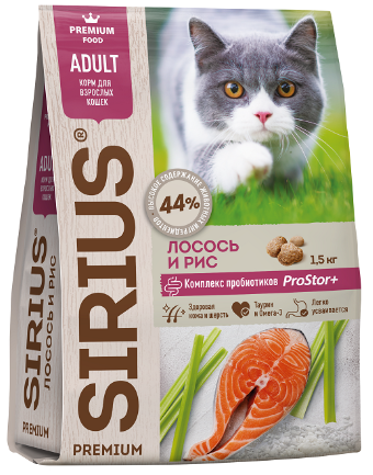 SIRIUS Adult Cat       / 